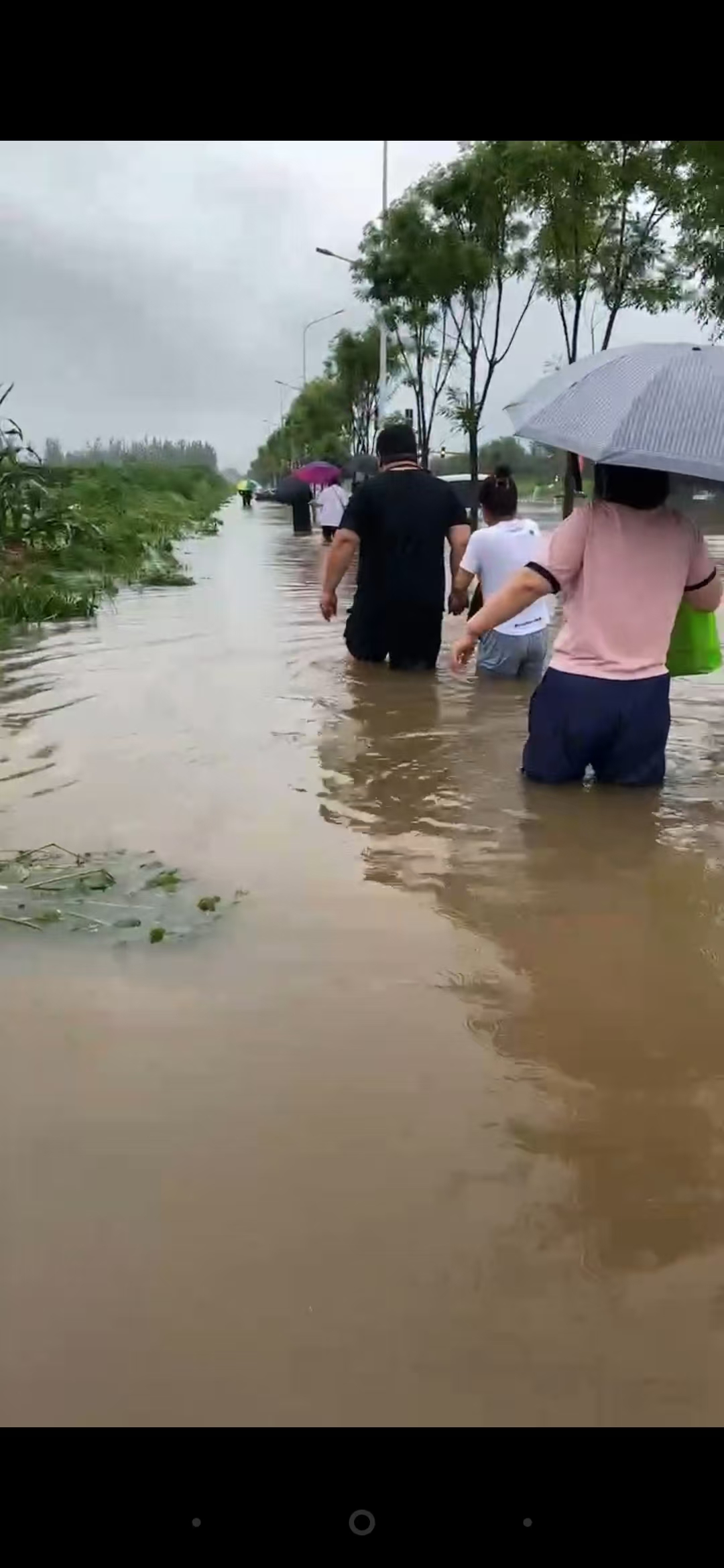 風雨前行，無懼無悔——沈陽大區汛期一線工作記實